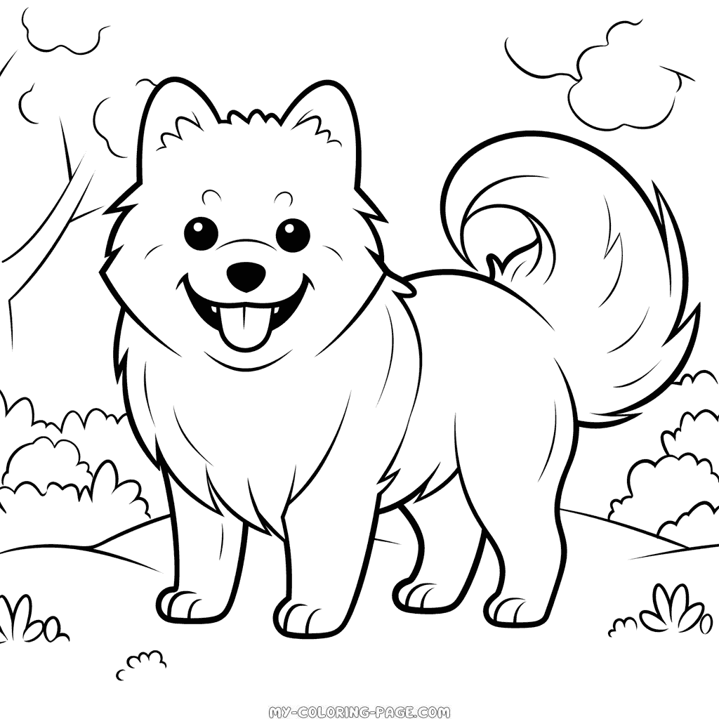 American Eskimo Dog coloring page