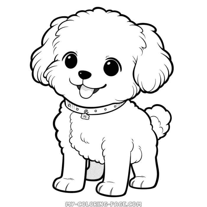 Bichon Frise Dog coloring page | My Coloring Page