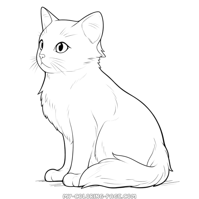 Black cat coloring page | My Coloring Page