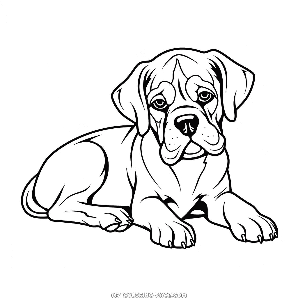 Boxer dog resting coloring page