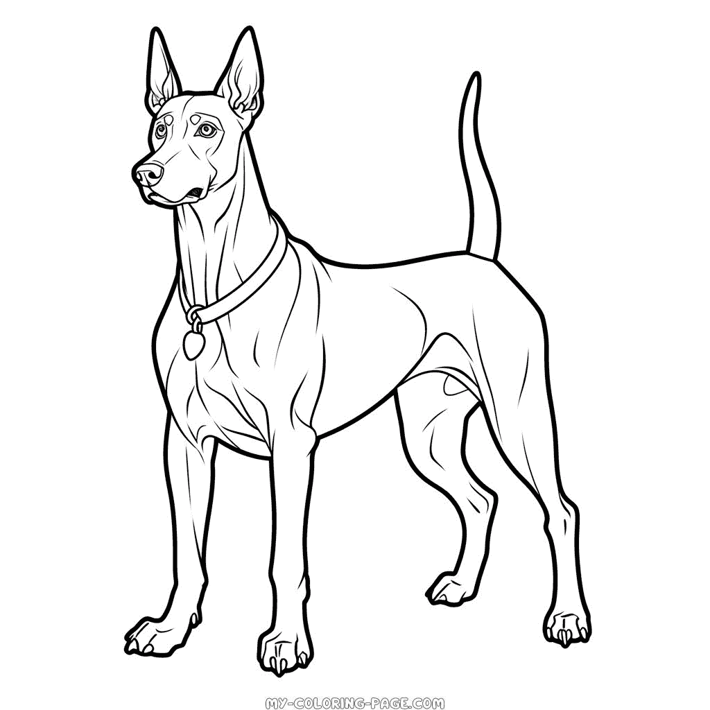 Doberman Pinscher Dog coloring page