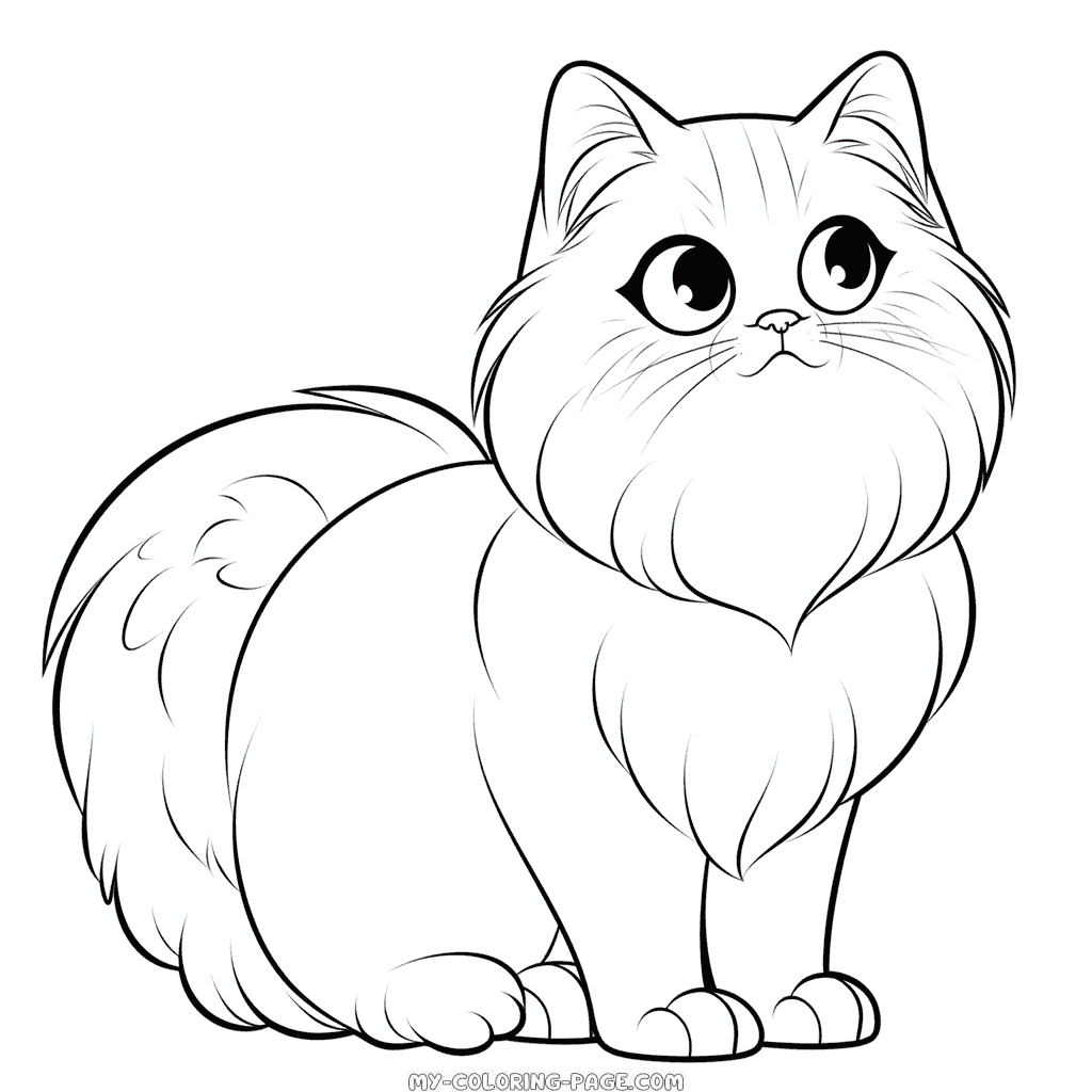 Himalayan Cat coloring page | My Coloring Page