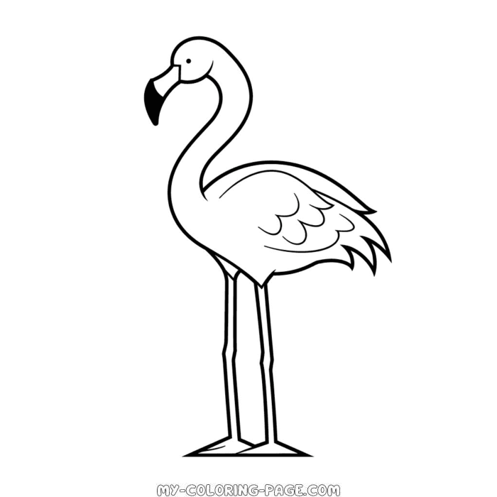 Flamingo coloring page | My Coloring Page