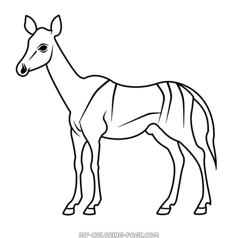 Okapi coloring page | My Coloring Page